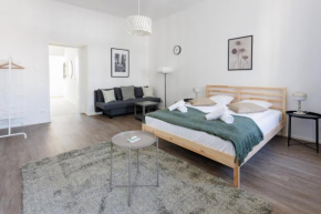 Großzügiges City-Apartment